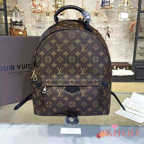 Forubags Louis Vuitton Palm Springs Backpack MM M41561 - 1