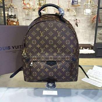 Forubags Louis Vuitton Palm Springs Backpack MM M41561