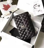 FORUBAGS CHANEL FLAP BAG 23CM Ball Caviar Calfskin Leather with silver hardware - 3