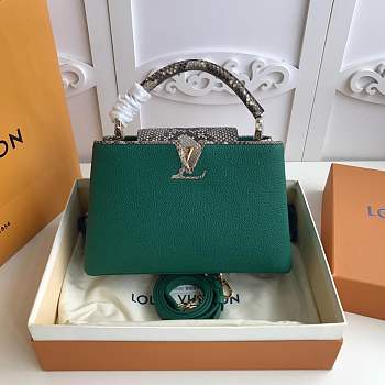 Forubags Louis Vuitton Capucines Python Shoulder green Bag 31cm