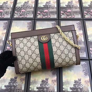 Forubags Gucci Ophidia small shoulder bag Style ‎503877 K05NG 8745