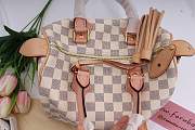 Louis Vuitton SPEEDY BANDOULIÈRE 25 Rose Ballerine N44366  - 5