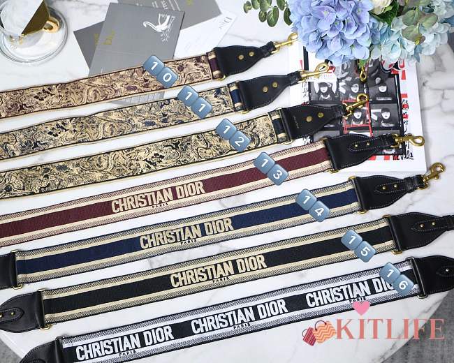 FORUBAGS DIOR FASHION STRAP - 1