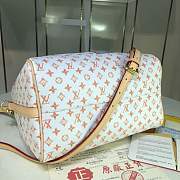 FORUBAGS  LV SPEEDY 30 M44400 - 2