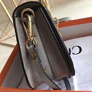 Forubags Chloe Nile Bracelet Bag-gray 21*17*8cm - 5