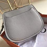 Forubags Chloe Nile Bracelet Bag-gray 21*17*8cm - 6