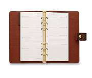 LOUIS VUITTON MEDIUM RING AGENDA COVER R20105 - 4