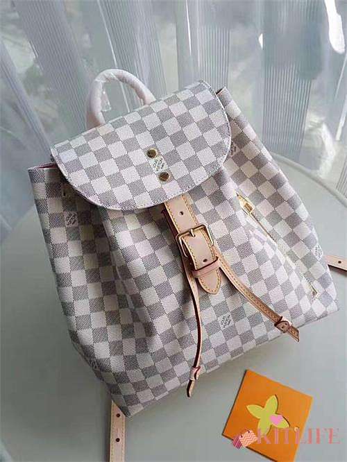  Louis Vuitton SPERONE Backpack N41578  - 1