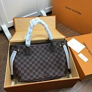 LOUIS VUITTON NEVERFULL PM Damier N41359 - 3