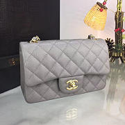 Chanel Classic Flap Bag Grey Caviar Leather Sliver&Gold Hardware 20cm  - 4