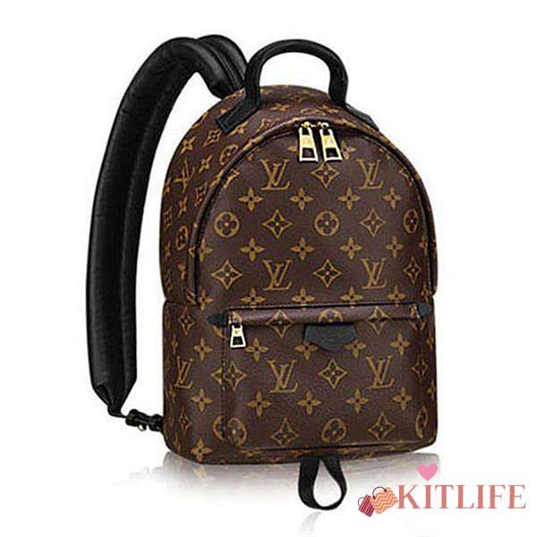 Forubags Louis Vuitton PALM SPRINGS BACKPACK PM M41560 - 1