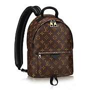 Forubags Louis Vuitton PALM SPRINGS BACKPACK PM M41560 - 1