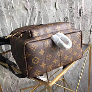 Forubags Louis Vuitton PALM SPRINGS BACKPACK PM M41560 - 5