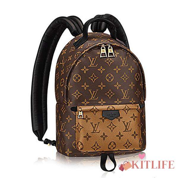 Forubags Louis Vuitton PALM SPRINGS BACKPACK PM M43116 - 1