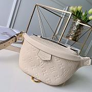  LOUIS VUITTON BUMBAG 37*14*13CM - 1