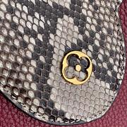 FORUBAGS LOUIS VUITTON CAPUCINES 31.5x 20.0x 11.0cm - 5