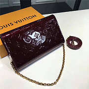  Louis Vuitton Mira Chain Bag 005 - 5