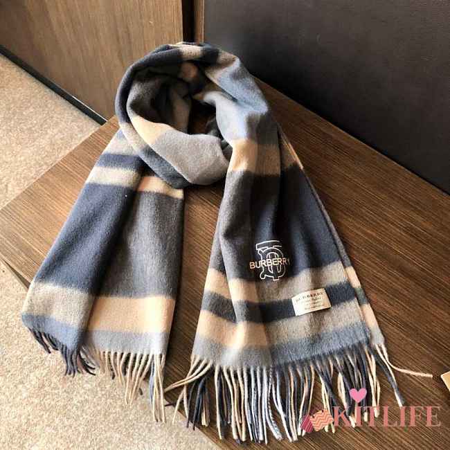 Forubags-1 Burberry Scarf - 1