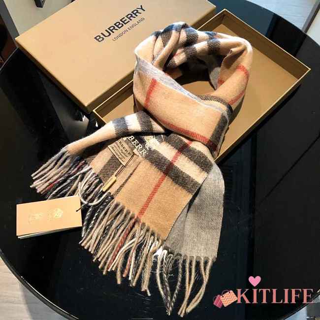 Forubags-2 Burberry Scarf - 1