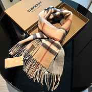 Forubags-2 Burberry Scarf - 1