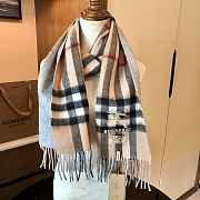 Forubags-2 Burberry Scarf - 3