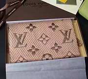 Forubags-4 Louis Vuitton Scarf - 6