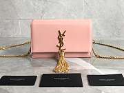 YSL KATE WITH GOLD TASSEL IN PINK 20x12.5x4cm - 1