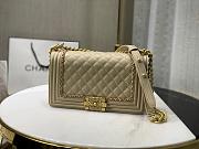 Forubags Chanel Leboy lambskin leather Bag 20cm/25cm - 1