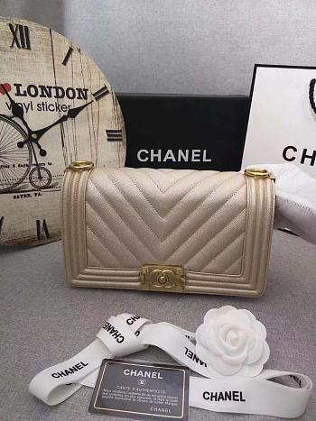 Forubags Chanel Leboy Cavair Chevron Quilted leather Bag 25cm