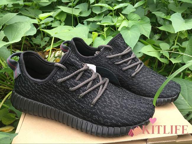 Adidas Yeezy Boost 350  - 1