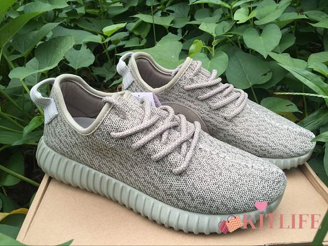 Forubags Adidas Yeezy Boost 350 Shoes - 1