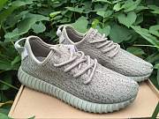 Forubags Adidas Yeezy Boost 350 Shoes - 1