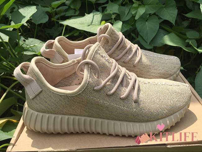 Forubags1 Adidas Yeezy Boost 350 Shoes - 1