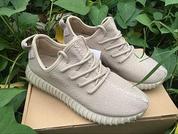 Forubags2 Adidas Yeezy Boost 350 Shoes