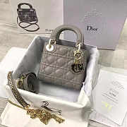 Lady Dior Mini 17cm Lambskin leather in gray with gold hardware - 1