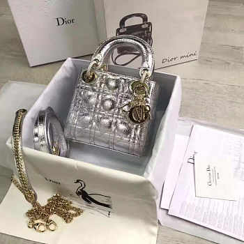 Lady Dior Mini 17cm Lambskin leather in silver with gold hardware