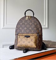 LOUIS VUITTON PM PALM SPRINGS Monogram Reverse M44870 - 1