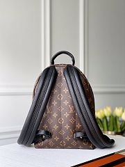 LOUIS VUITTON PM PALM SPRINGS Monogram Reverse M44870 - 3