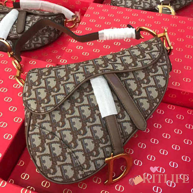 FORUBAGS-9 DIOR SADDLE BAG - 1