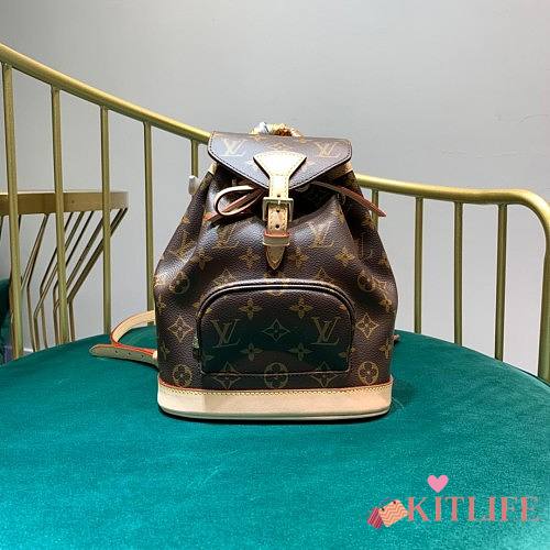 LOUIS VUITTON BACKPACK 20-24-10CM - 1