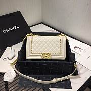 CHANEL #67086 LEBOY CREAM WHITE BAG 20CM/25cm - 1