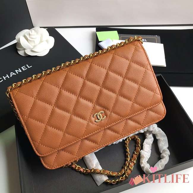 CHANEL CAVAIR WOC IN BROWN - 1