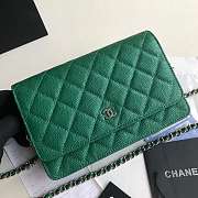 CHANEL CAVAIR WOC IN GREEN WITH SILVER METAL - 1