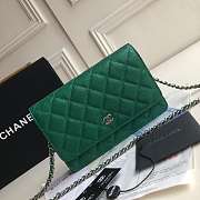 CHANEL CAVAIR WOC IN GREEN WITH SILVER METAL - 4