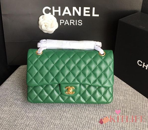 Chanel Lambskin Leather 25cm Flap With Gold Hardware In Green - 1