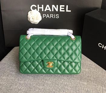 Chanel Lambskin Leather 25cm Flap With Gold Hardware In Green