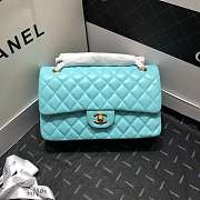 Chanel Lambskin Leather Flap With Gold Hardware 25cm  - 1