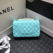 Chanel Lambskin Leather Flap With Gold Hardware 20cm - 6