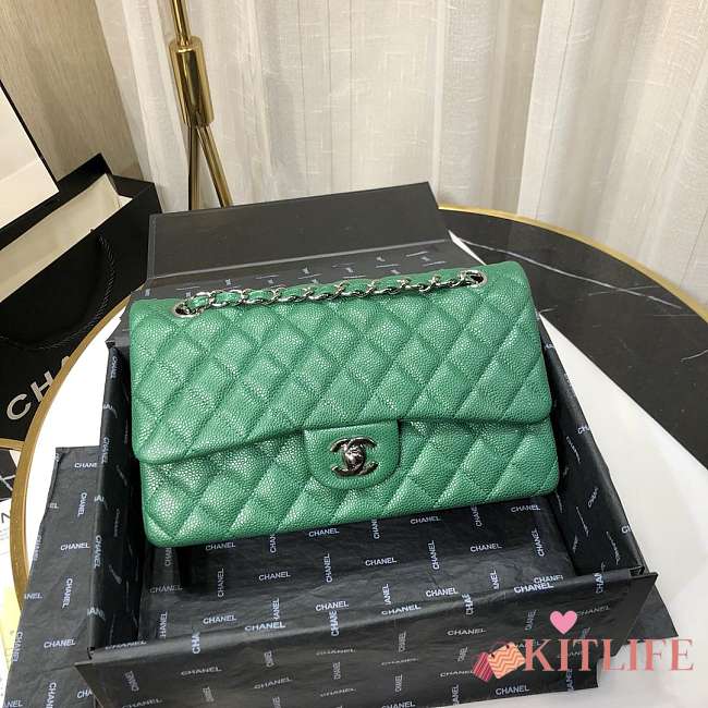 Chanel Caviar Leather 25cm Flap With Silver Hardware In Green - 1