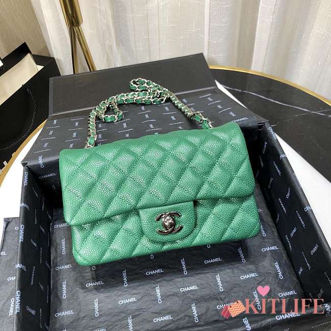 Chanel Caviar Leather 20cm Flap With Silver Hardware In Green - 1